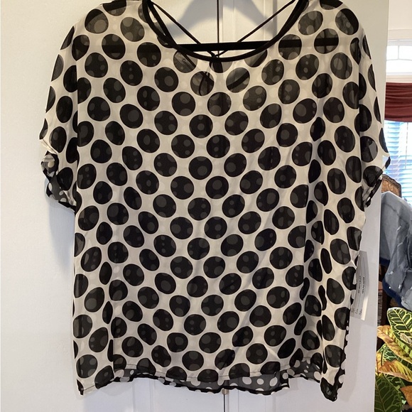 Elegant Black and Off White Polka Dot Women's Blouse - Picture 3 of 4